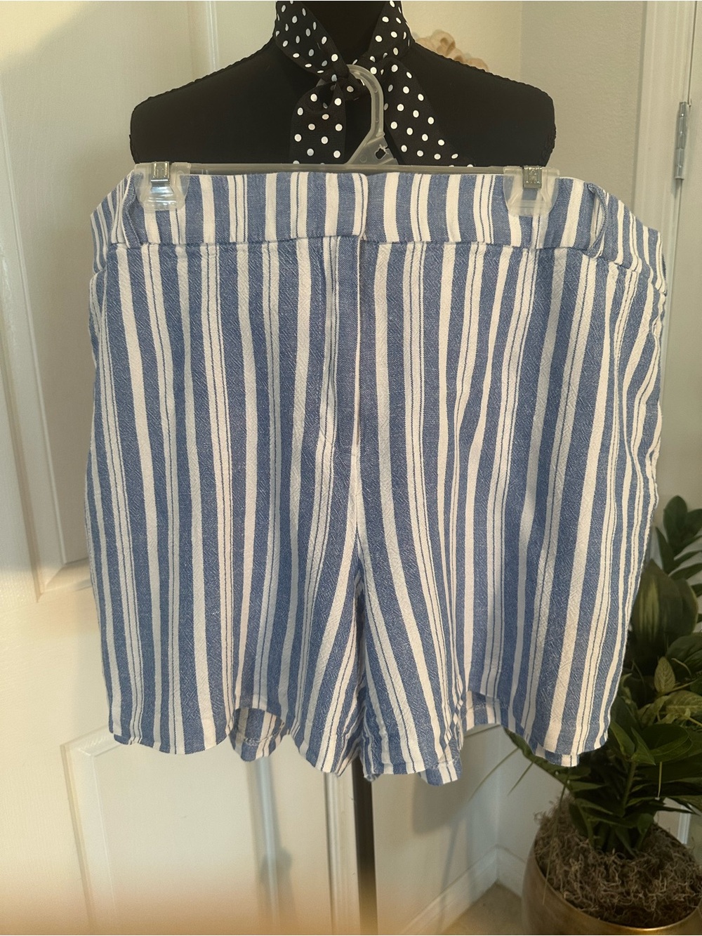 Lane Bryant Blue and White Striped Women's Shorts